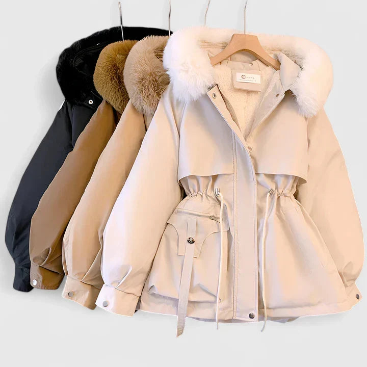 Aya | Classy Jacket